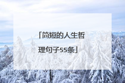 简短的人生哲理句子55条