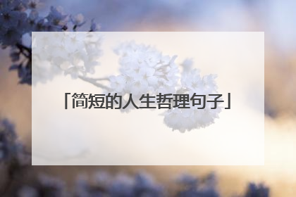 简短的人生哲理句子