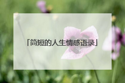 简短的人生情感语录