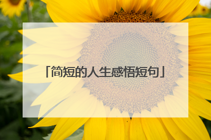 简短的人生感悟短句