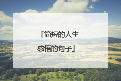 简短的人生感悟的句子