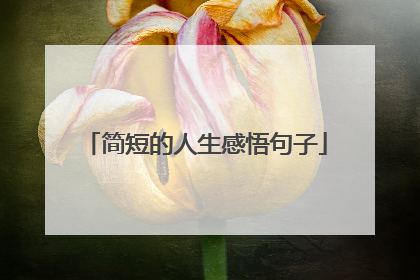 简短的人生感悟句子