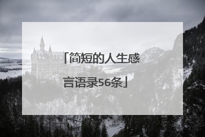 简短的人生感言语录56条