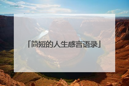 简短的人生感言语录