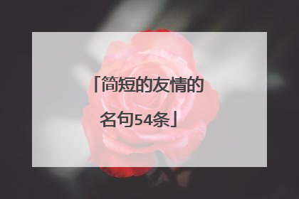 简短的友情的名句54条