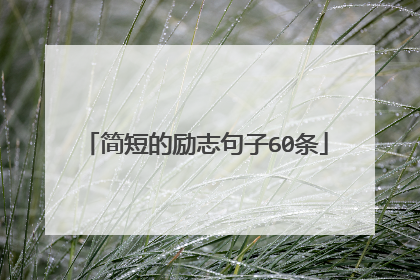 简短的励志句子60条