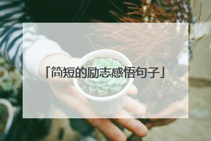 简短的励志感悟句子