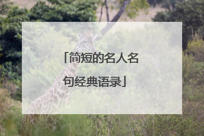 简短的名人名句经典语录
