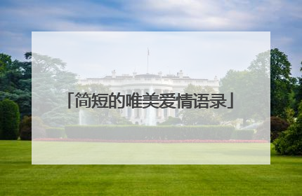 简短的唯美爱情语录