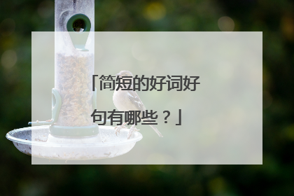 简短的好词好句有哪些?