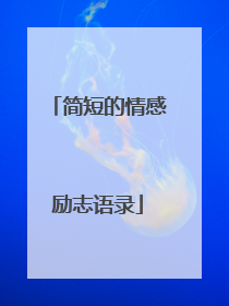 简短的情感励志语录