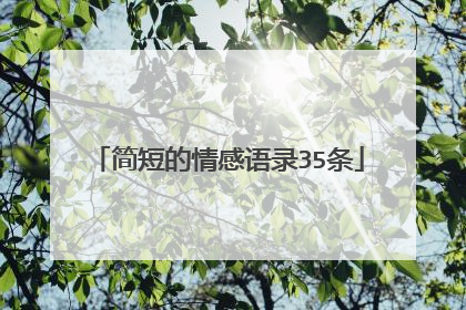 简短的情感语录35条