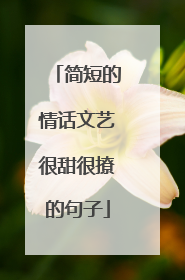 简短的情话文艺很甜很撩的句子