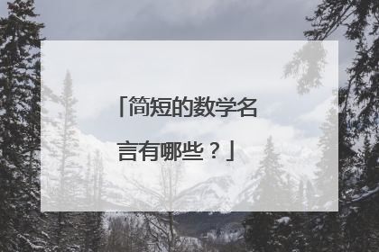 简短的数学名言有哪些?