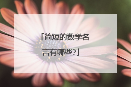 简短的数学名言有哪些?