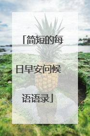 简短的每日早安问候语语录