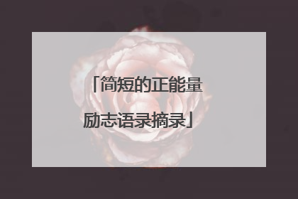 简短的正能量励志语录摘录