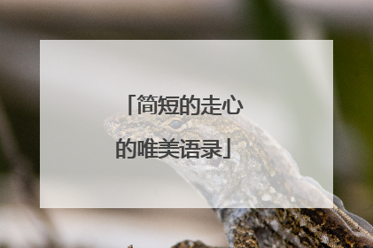 简短的走心的唯美语录