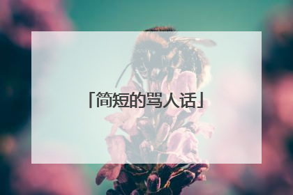简短的骂人话