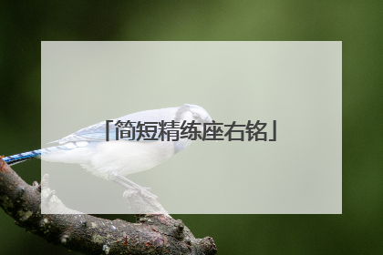 简短精练座右铭