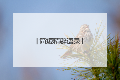简短精辟语录