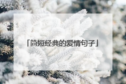 简短经典的爱情句子
