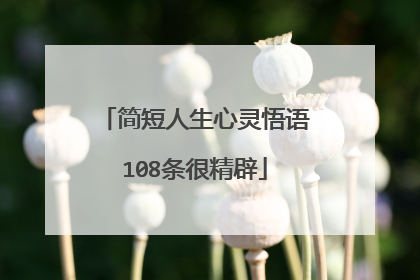 简短人生心灵悟语108条很精辟