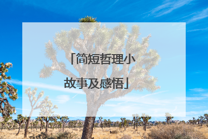 简短哲理小故事及感悟