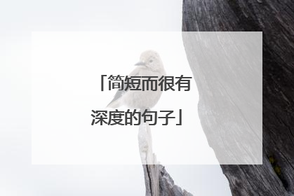 简短而很有深度的句子