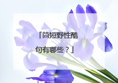 简短野性酷句有哪些?