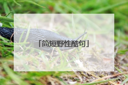 简短野性酷句