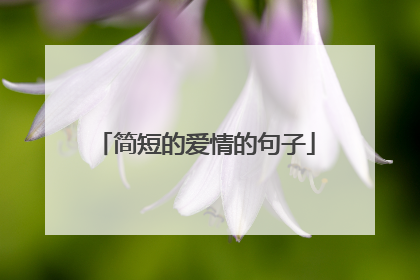 简短的爱情的句子
