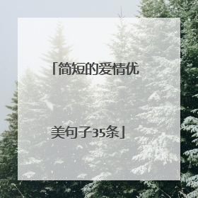 简短的爱情优美句子35条