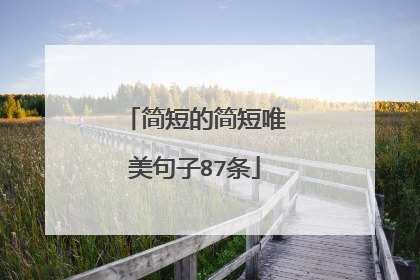 简短的简短唯美句子87条