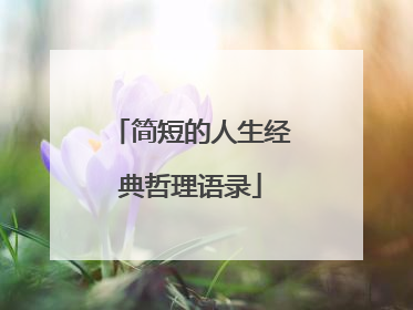 简短的人生经典哲理语录