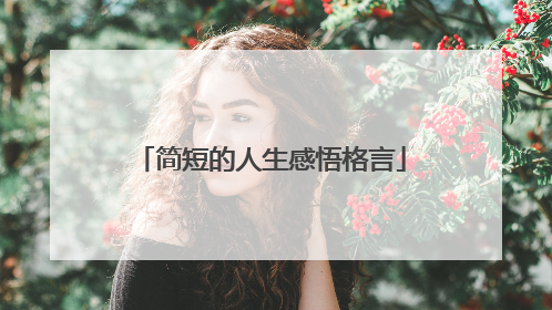 简短的人生感悟格言