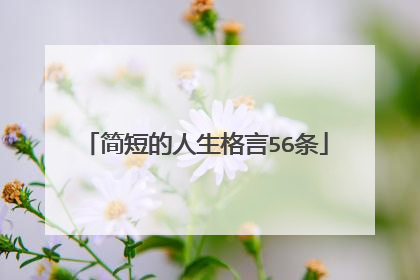 简短的人生格言56条