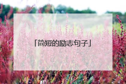 简短的励志句子