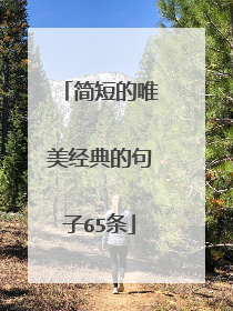 简短的唯美经典的句子65条