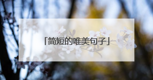 简短的唯美句子