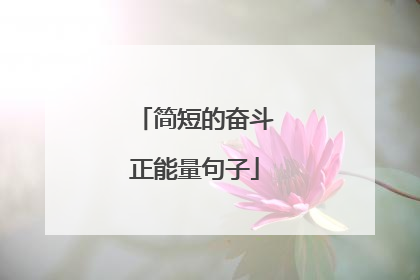 简短的奋斗正能量句子