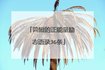简短的正能量励志语录36条
