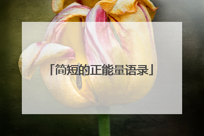 简短的正能量语录