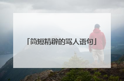 简短精辟的骂人语句