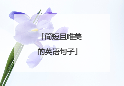 简短且唯美的英语句子