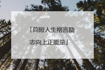 简短人生格言励志向上正能量