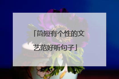 简短有个性的文艺范好听句子