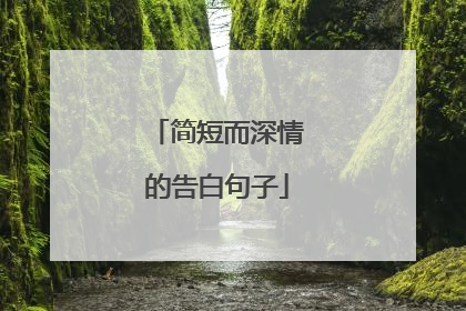 简短而深情的告白句子