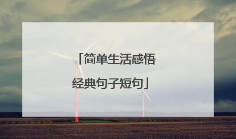 简单生活感悟经典句子短句