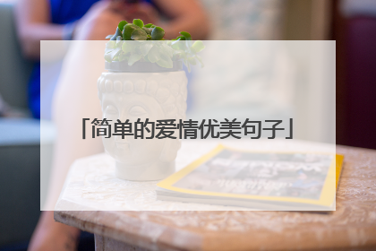 简单的爱情优美句子